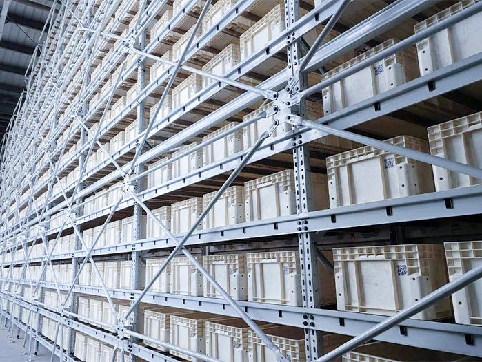 Tote Four-Way Shuttle AS/RS